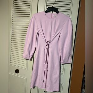 Pink Tibi dress